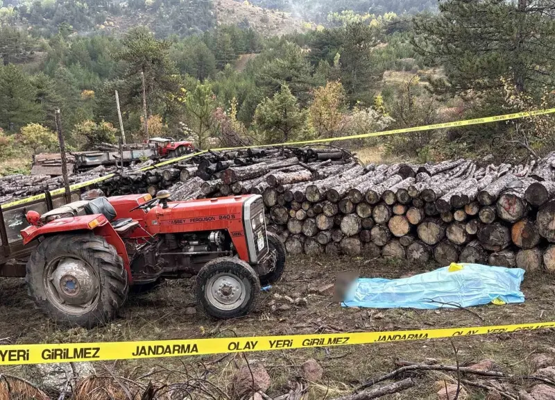 Kastamonu'da Ormanlık Alanda Dehşet: Husumetlisi Tarafından Kafasına Odunla Vurulan İmam Yaşamını Yitirdi