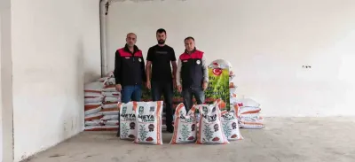 Elazığ Palu İlçesinde Çiftçilere Yüzde 70 Hibeli Mercimek Tohumu