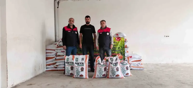 Elazığ Palu İlçesinde Çiftçilere Yüzde 70 Hibeli Mercimek Tohumu