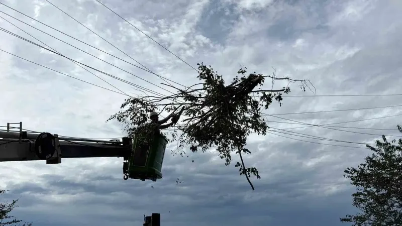 Hopa İlçesinde Etkili Olan Kuvvetli Rüzgâr Enerji Hatlarında Hasara Yol Açtı