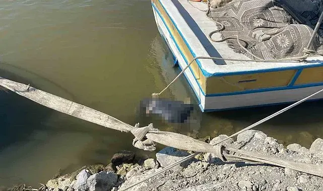 Asi Nehri'nde erkek cesedi bulundu