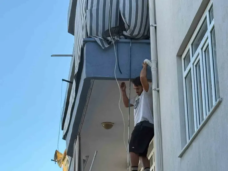 Antalya Serik'te Ev Sahibi Dairesini Ateşe Verdi, Kiracı Kediyi Kurtardı