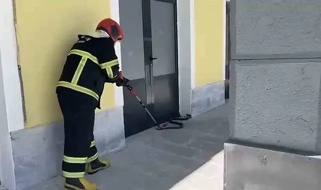 TCDD binasına giren yılan paniğe neden oldu