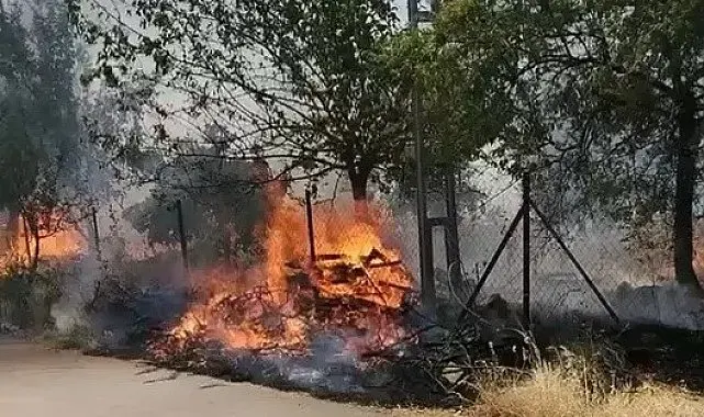 Karadağ Ormanlık alanda çıkan yangın korkuttu