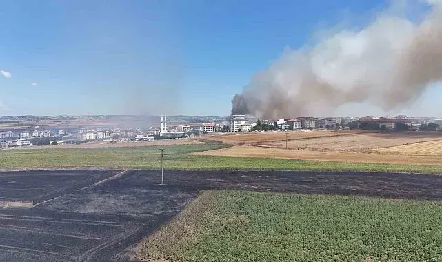 Silivri'de rüzgarla büyüyen yangında alevleri kontrol altına alma çalışmaları devam ediyor