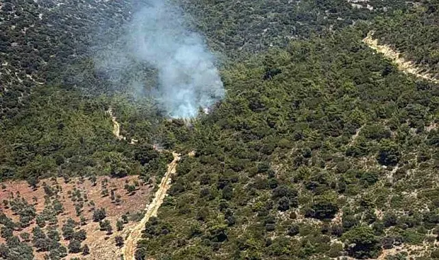 Milas Kazıklı Koyu'nda makilik alanda yangın çıktı
