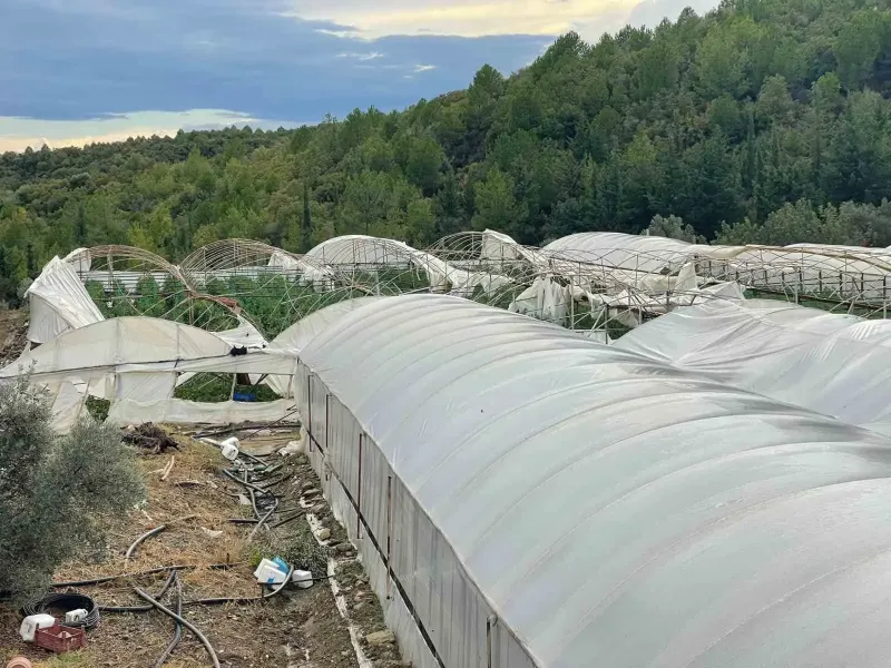 Antalya Manavgat'ta Hortum Felaketi: Seralar Yıkıldı Ve Tarım Arazileri Zarar Gördü