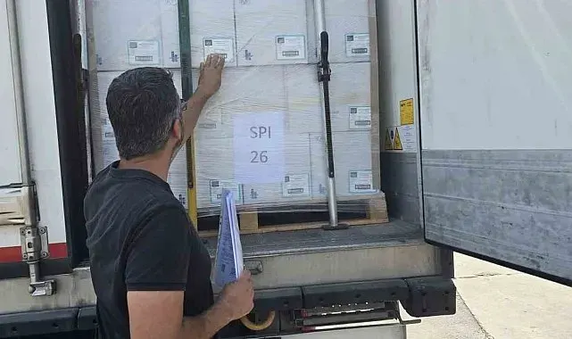 Didim'in balıkları, İngiltere yolcusu