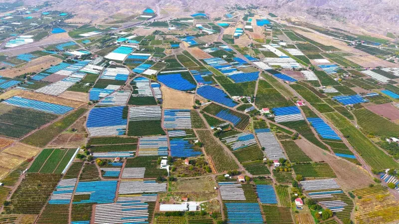 Elazığ'da Erken Yağışlara Karşı Kilometrelerce Bağ Brandayla Kapatıldı
