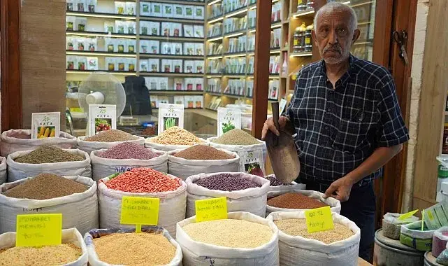 Dede mesleğini 3 bin dönüm arazide yaşatıyor