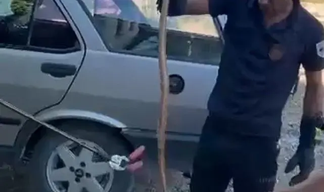 Park halindeki otomobile giren yılan paniğe neden oldu