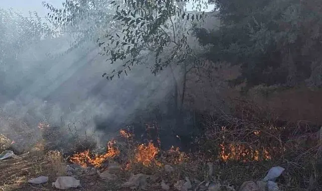 Hassa'da bahçe yangını
