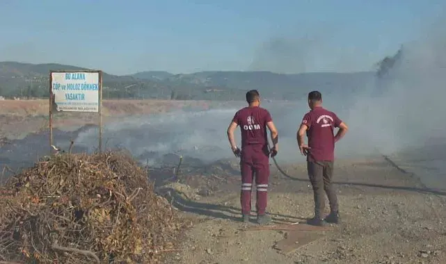 Burhaniye'de Karınca Deresinde çıkan ot yangını 3 saatte söndürüldü