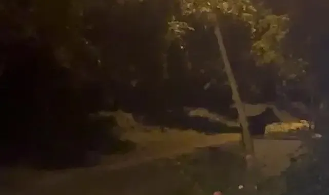 Köye inen ayı köylülere heyecan ve korku yaşattı