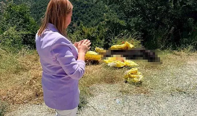 Başkan Tekin'den yol kenarına bırakılan hayvan leşine sert tepki