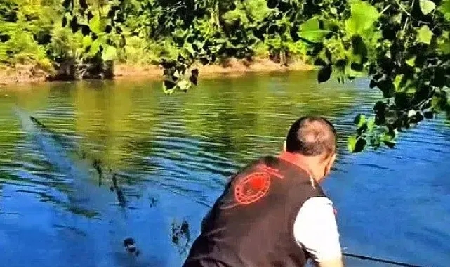 Sakarya'da nehir ve göletlerdeki kaçak ağlar tek tek toplanıyor