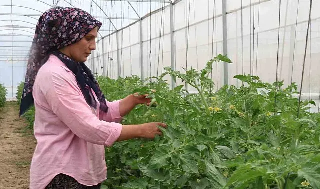 Kadınlar devlet desteğiyle üretti, köy turizm ve tarımda ilçede öncü oldu