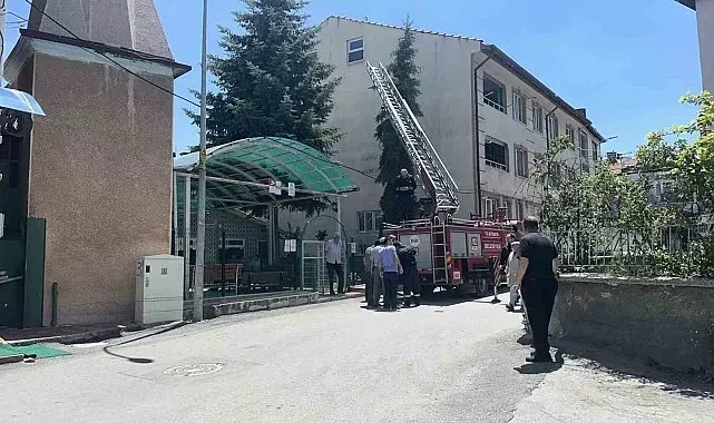 Kütahya'da ağaca takılan serçe itfaiye ekiplerince kurtarıldı