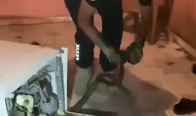 Bulaşık makinesine giren 2 metrelik karayılanı itfaiye çıkardı