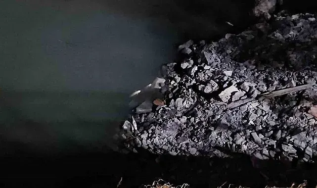 Bakırköy'de Çırpıcı Deresi'nde toplu balık ölümleri: AFAD inceleme başlattı