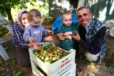 Elazığlı Sınıf Öğretmeni Mesai Dışında Ceviz Üretimi Yapıyor
