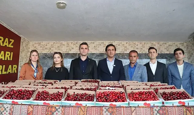Selendi'de kirazın en iyisi seçildi