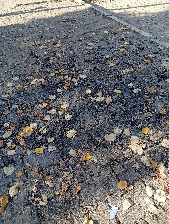 Bilecik'te Parkın Ortasında Yakılan Ateş Tepki Çekti