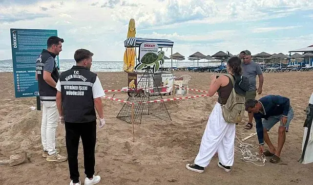 Didim Belediyesi ekiplerinin zamanında müdahalesi caretta carettayı kurtardı