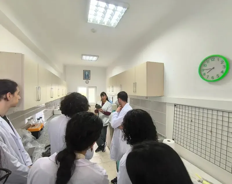 Sinop Üniversitesinde Biyoloji Bölümü Öğrencileri Laboratuvarları İnceledi
