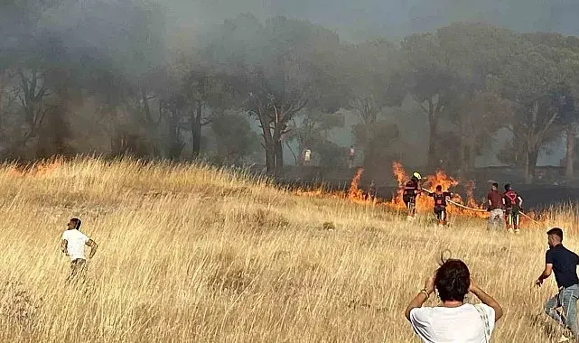 Balıkesir Ayvalık'ta çıkan örtü yangınına müdahale ediliyor