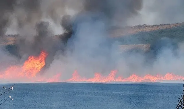 Tekirdağ'da tarım arazisinde korku dolu anlar