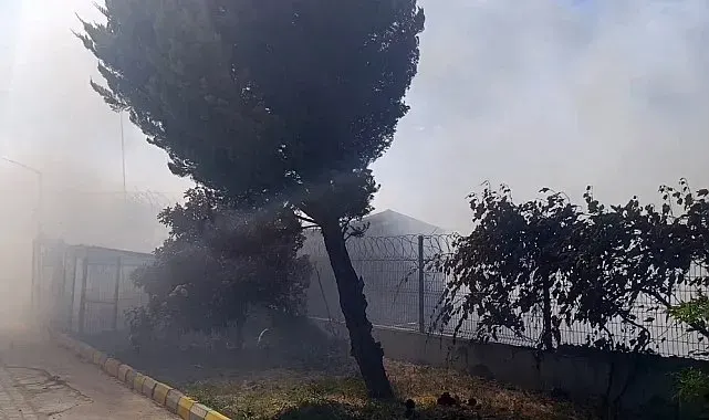 Tekirdağ'da tarım arazisinde başlayan yangın: Alevler 4 farklı noktaya sıçradı