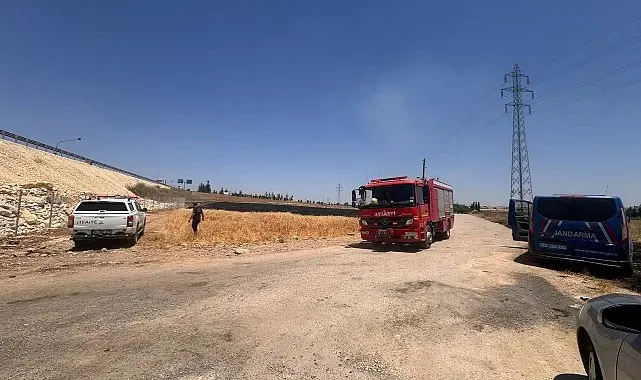 Şanlıurfa'da anız yangınlarına ilişkin 14 şüpheli gözaltına alındı