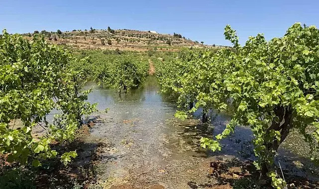 Batı Şeria'daki İsrailli yerleşimciler, Filistinlilerin tarım arazilerine kanalizasyon atığı bıraktı