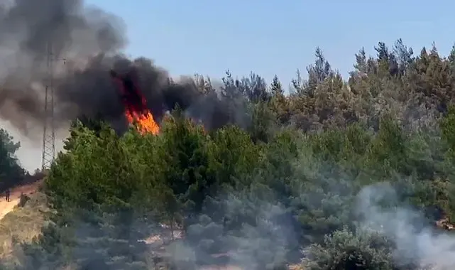 Zirai alanda başlayan yangın ormana sıçradı, söndürme çalışmaları sürüyor