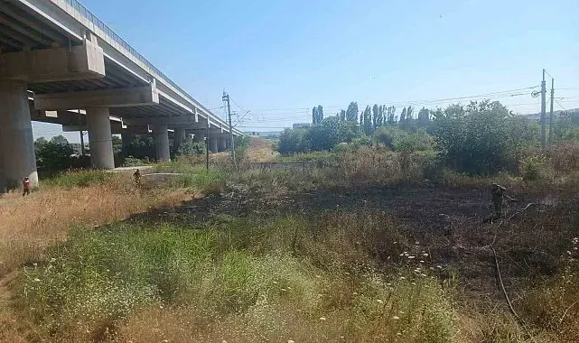 Susurluk'ta çıkan ot yangını söndürüldü