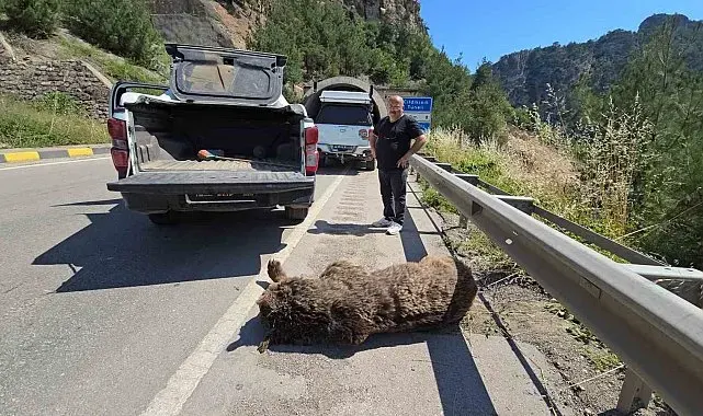 Tünelde başlayan yaşam mücadelesi çayda son buldu
