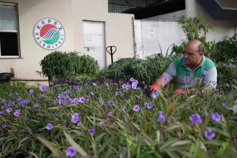 Kepez Belediyesi Fidan Üretim Tesisleriyle İlçenin Çehresini Değiştiriyor