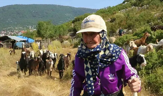 Antalya'nın süper çobanı Emine Nine: 94 yaşında, 90 yıldır keçileriyle dağlarda