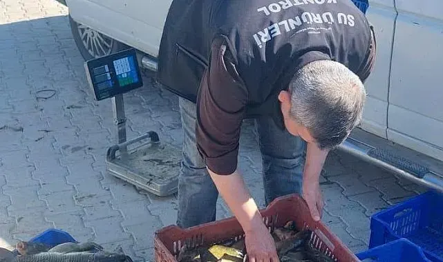 Beyşehir'de avcılara yakın takip