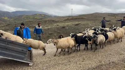 Erzincan Yaylalarinda Sezon Bitti Ve Dönüş Yolculuğu Başladı