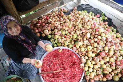 Adana'da Seksen Yaşındaki Yeter Nine Geleneksel Nar Ekşisi Üretiyor