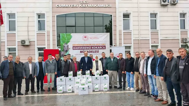 Düzce'de Kahverengi Kokarcaya Karşı 14 Bin Samuray Arısı Doğaya Salındı