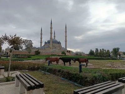 Edirne Selimiye Meydanı'nda Başıboş Atlar Şaşkınlık Yarattı