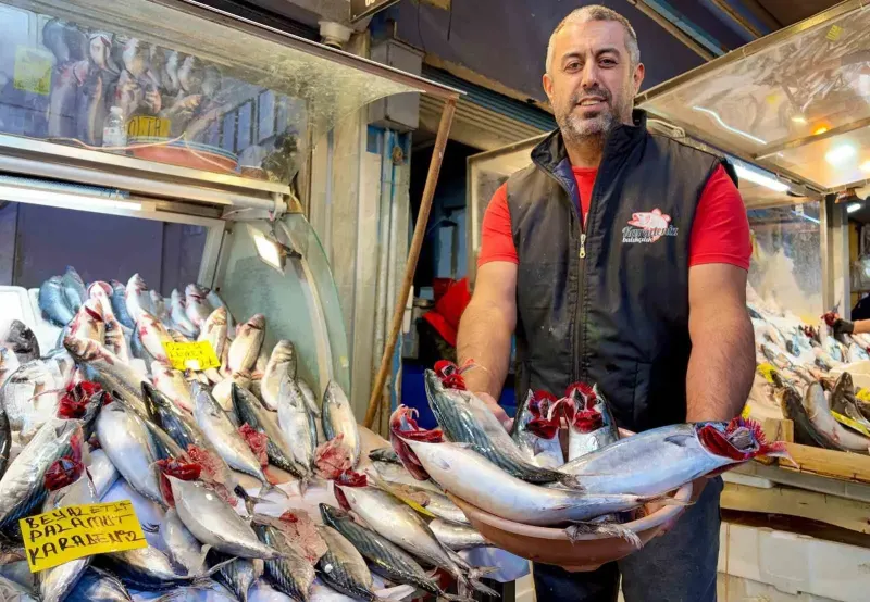 İzmir Balık Tezgahlarında Palamut Bolluğu Yaşanıyor