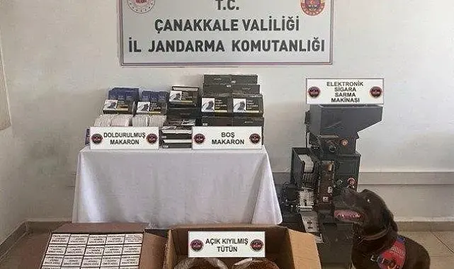 Lapseki'de kaçakçılık operasyonu