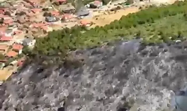 Balıkesir'deki orman yangını kontrol altına alındı