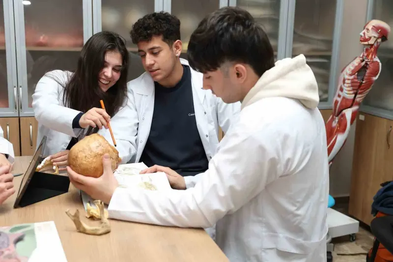 Yapay Zeka Çağında Anatomi Eğitimi Yeniden Şekilleniyor