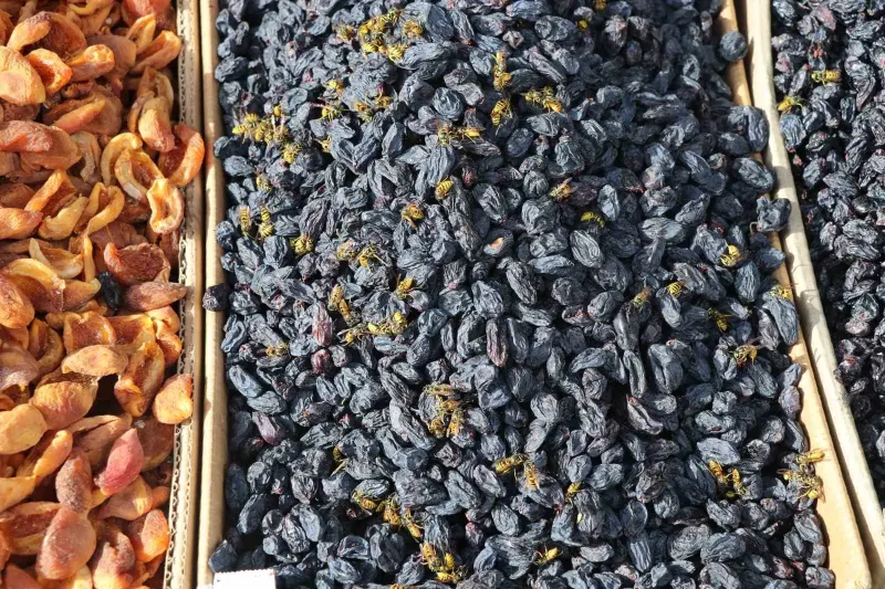 Sivas'ta Sonbaharda Yaban Arısı Yoğunluğu Esnafı Zor Durumda Bırakıyor