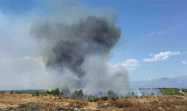 Aksu'da orman yangınına havadan ve karadan müdahale